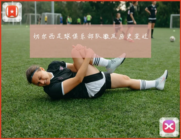 切尔西足球俱乐部队徽及历史变迁