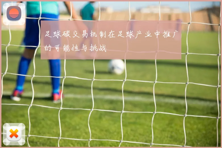 足球碳交易机制在足球产业中推广的可能性与挑战