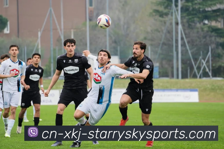 星空体育APP 体育赛事宣传图